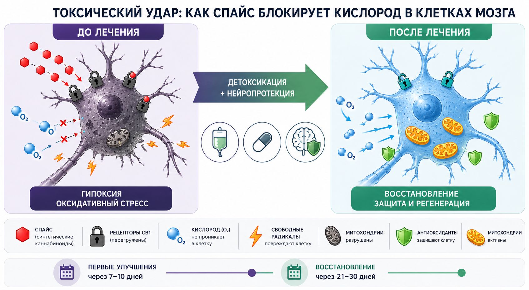 Токсический удар: как спайс блокирует кислород в клетках мозга инфографика